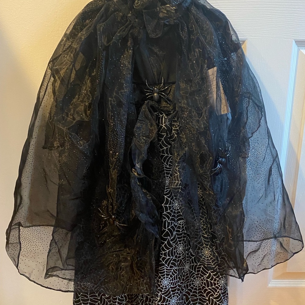 EUC Pottery Barn Witch Costume 3T 🕷️🕸️